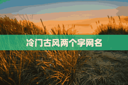 冷门古风两个字网名(冷门古风两个字网名女)